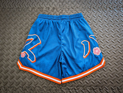 Game Shorts (Katakana V2 - SD)